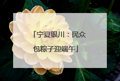 宁夏银川：民众包粽子迎端午