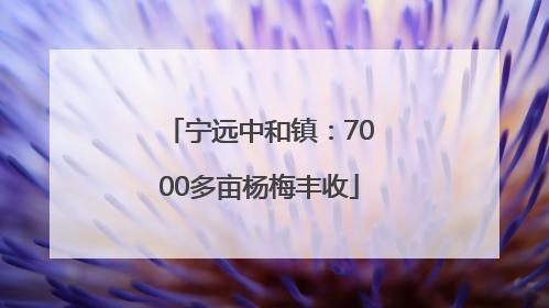 宁远中和镇：7000多亩杨梅丰收