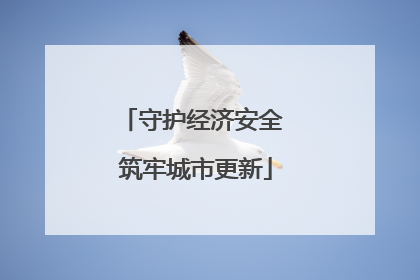 守护经济安全 筑牢城市更新