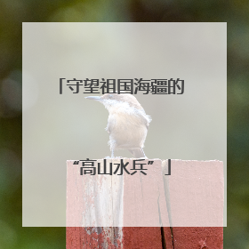 守望祖国海疆的“高山水兵”
