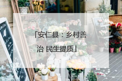 安仁县：乡村善治 民生提质