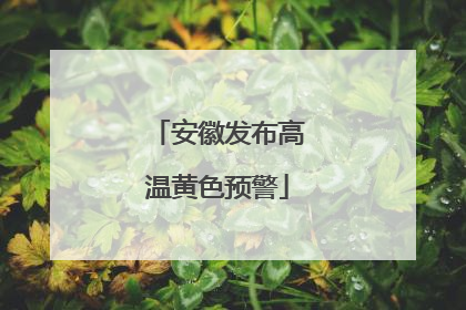 安徽发布高温黄色预警