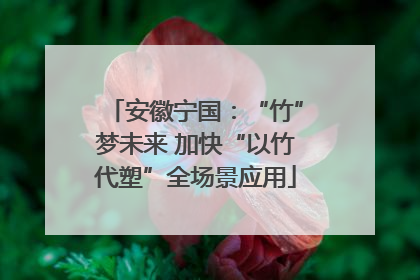 安徽宁国：“竹”梦未来 加快“以竹代塑”全场景应用