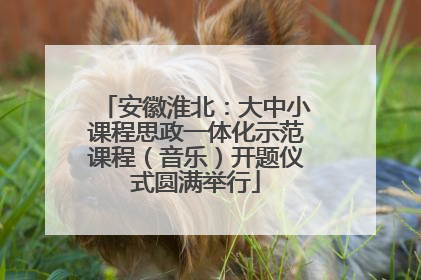 安徽淮北：大中小课程思政一体化示范课程（音乐）开题仪式圆满举行