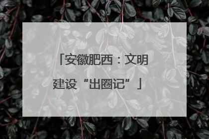 安徽肥西：文明建设“出圈记”