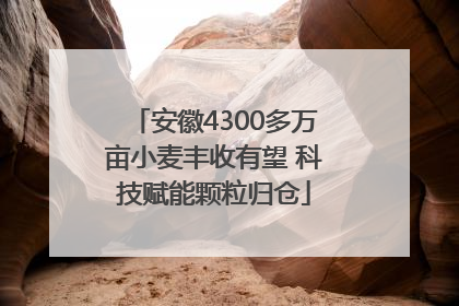 安徽4300多万亩小麦丰收有望 科技赋能颗粒归仓