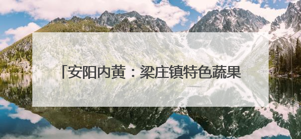 安阳内黄：梁庄镇特色蔬果亮相央视农业品牌甄选会