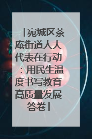 宛城区茶庵街道人大代表在行动：用民生温度书写教育高质量发展答卷