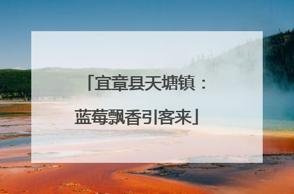 宜章县天塘镇：蓝莓飘香引客来