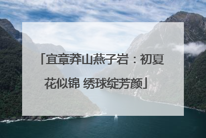 宜章莽山燕子岩：初夏花似锦 绣球绽芳颜
