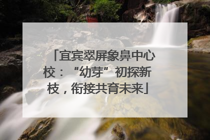 宜宾翠屏象鼻中心校：“幼芽”初探新枝，衔接共育未来