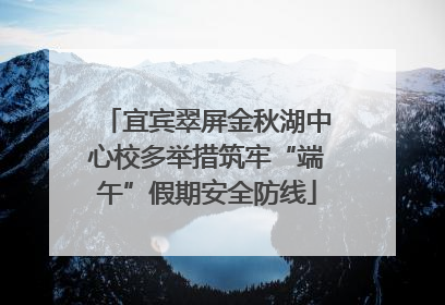 宜宾翠屏金秋湖中心校多举措筑牢“端午”假期安全防线