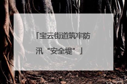 宝云街道筑牢防汛“安全堤”