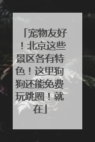 宠物友好！北京这些景区各有特色！这里狗狗还能免费玩跳圈！就在