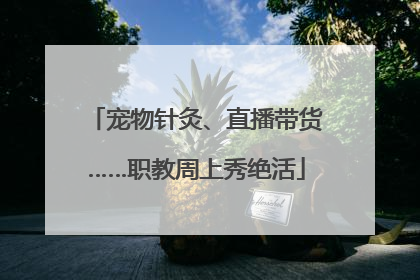 宠物针灸、直播带货……职教周上秀绝活