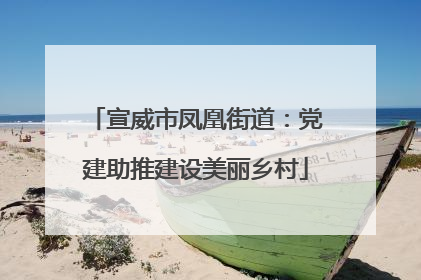 宣威市凤凰街道：党建助推建设美丽乡村