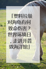 塑料垃圾对海龟有何致命伤害？世界环境日，走进开普敦海洋馆