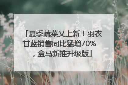 夏季蔬菜又上新！羽衣甘蓝销售同比猛增70%，盒马新推升级版