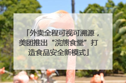 外卖全程可视可溯源，美团推出“浣熊食堂”打造食品安全新模式