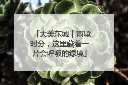 大美东城｜雨歇时分，这里藏着一片会呼吸的绿境