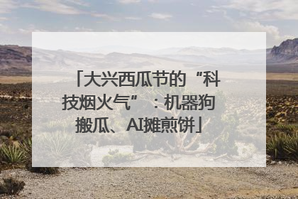 大兴西瓜节的“科技烟火气”：机器狗搬瓜、AI摊煎饼