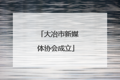 大冶市新媒体协会成立