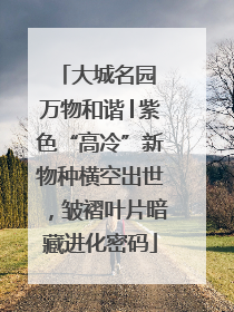 大城名园 万物和谐│紫色“高冷”新物种横空出世，皱褶叶片暗藏进化密码