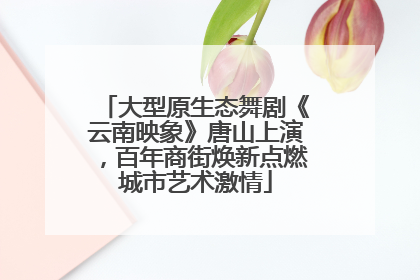 大型原生态舞剧《云南映象》唐山上演，百年商街焕新点燃城市艺术激情
