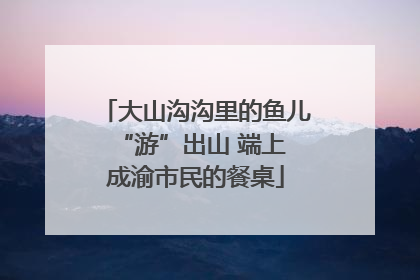 大山沟沟里的鱼儿 “游”出山 端上成渝市民的餐桌