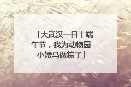 大武汉一日丨端午节，我为动物园小矮马做粽子