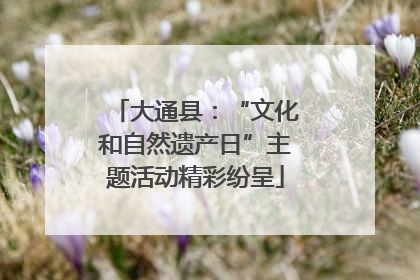 大通县：“文化和自然遗产日”主题活动精彩纷呈