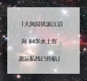 大风侵扰浙江沿海 84条水上客渡运航线已停航
