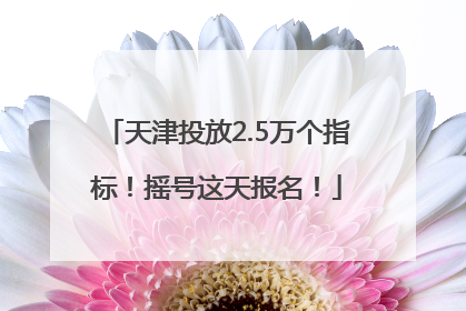 天津投放2.5万个指标！摇号这天报名！