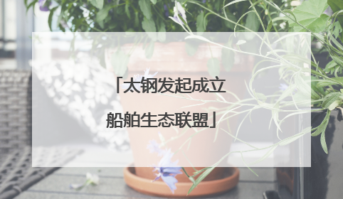 太钢发起成立船舶生态联盟