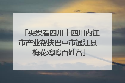 央媒看四川丨四川内江市产业帮扶巴中市通江县 梅花鸡鸣百姓富