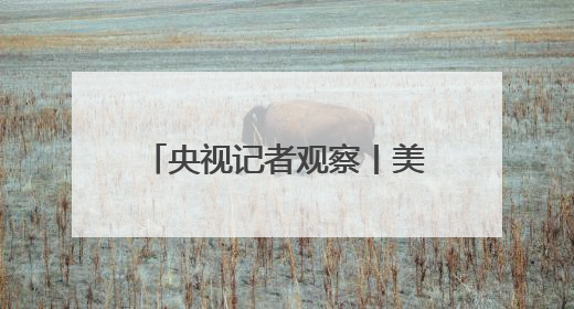 央视记者观察丨美国内冲突给2026年世界杯蒙上阴影