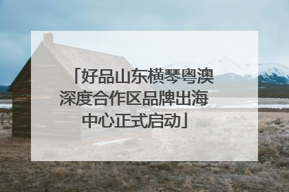 好品山东横琴粤澳深度合作区品牌出海中心正式启动