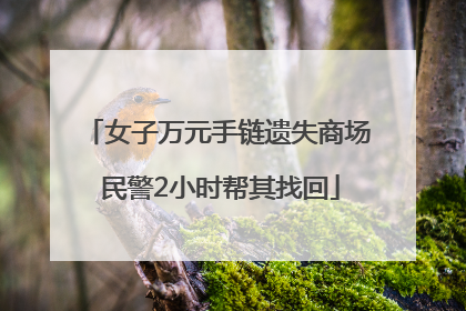 女子万元手链遗失商场 民警2小时帮其找回