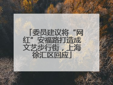 委员建议将“网红”安福路打造成文艺步行街，上海徐汇区回应