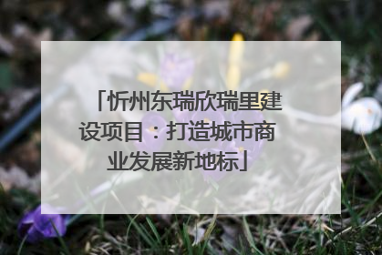 忻州东瑞欣瑞里建设项目：打造城市商业发展新地标