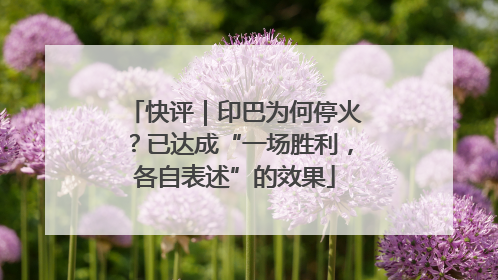 快评｜印巴为何停火？已达成“一场胜利，各自表述”的效果