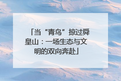 当“青鸟”掠过舜皇山：一场生态与文明的双向奔赴