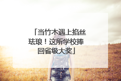 当竹木遇上掐丝珐琅！这所学校捧回省级大奖