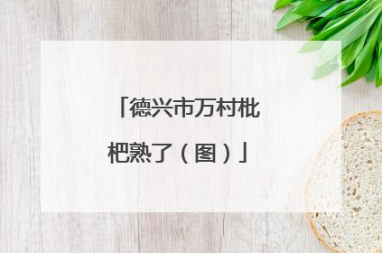 德兴市万村枇杷熟了（图）