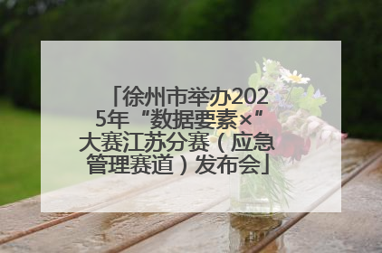 徐州市举办2025年“数据要素×”大赛江苏分赛（应急管理赛道）发布会
