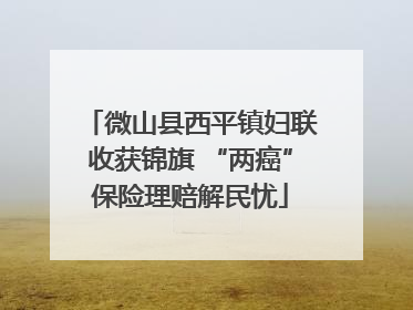 微山县西平镇妇联收获锦旗 “两癌”保险理赔解民忧
