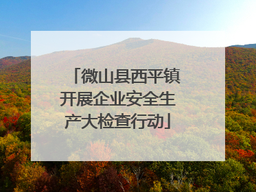 微山县西平镇开展企业安全生产大检查行动