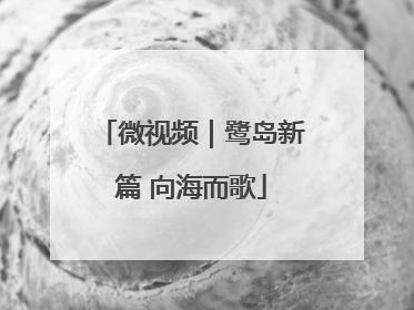 微视频｜鹭岛新篇 向海而歌
