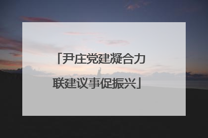 尹庄党建凝合力 联建议事促振兴