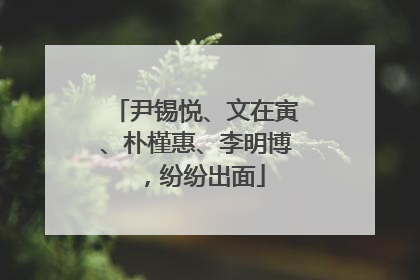 尹锡悦、文在寅、朴槿惠、李明博，纷纷出面